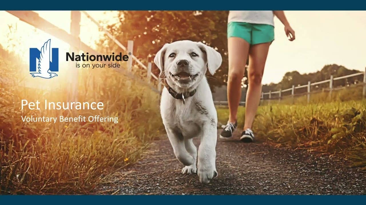 Nationwide Pet Insurance review